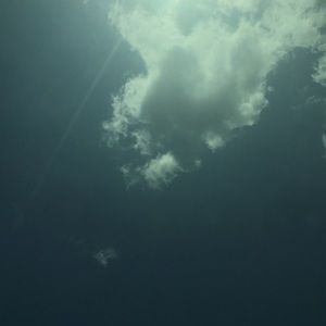 Meet your Posher, Eddiena